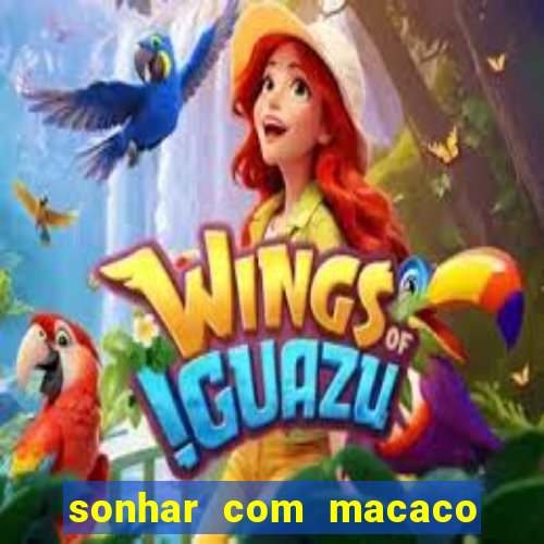 sonhar com macaco o que significa